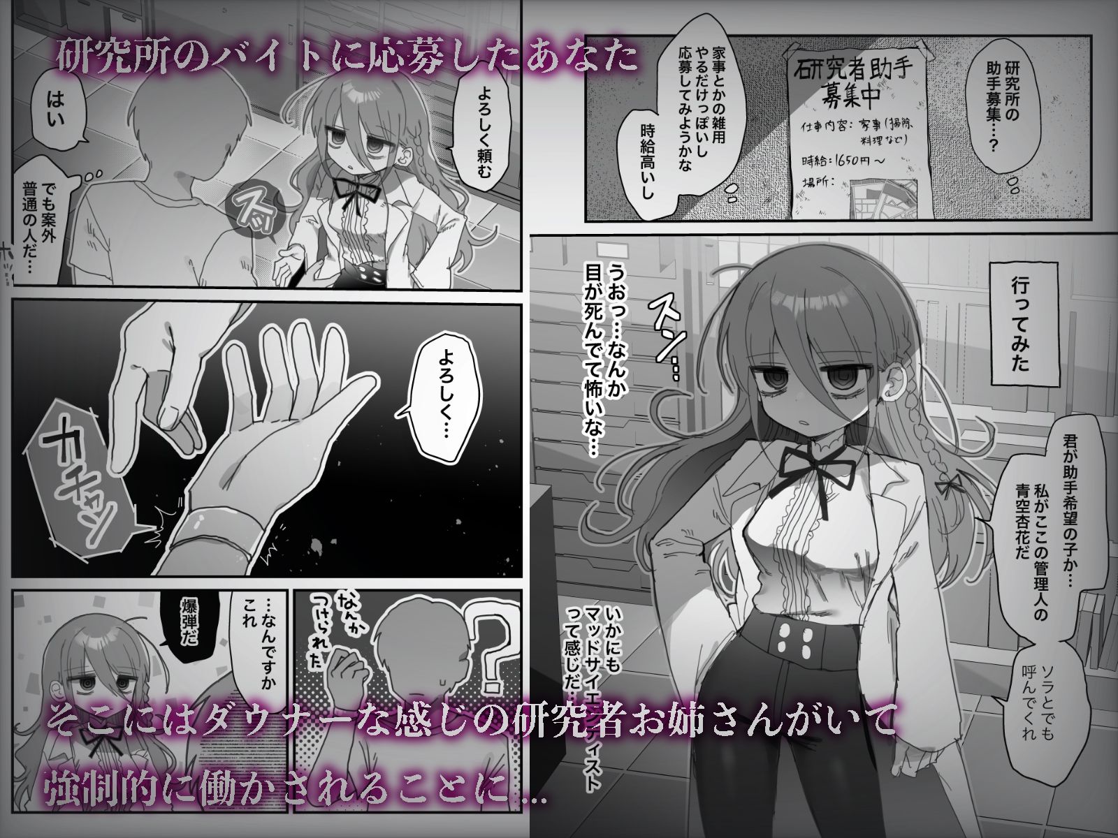 d_443545jp-001