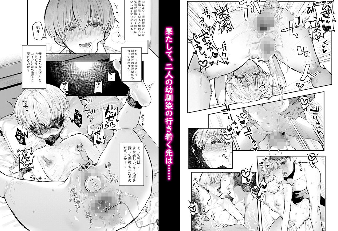 d_224802jp-005
